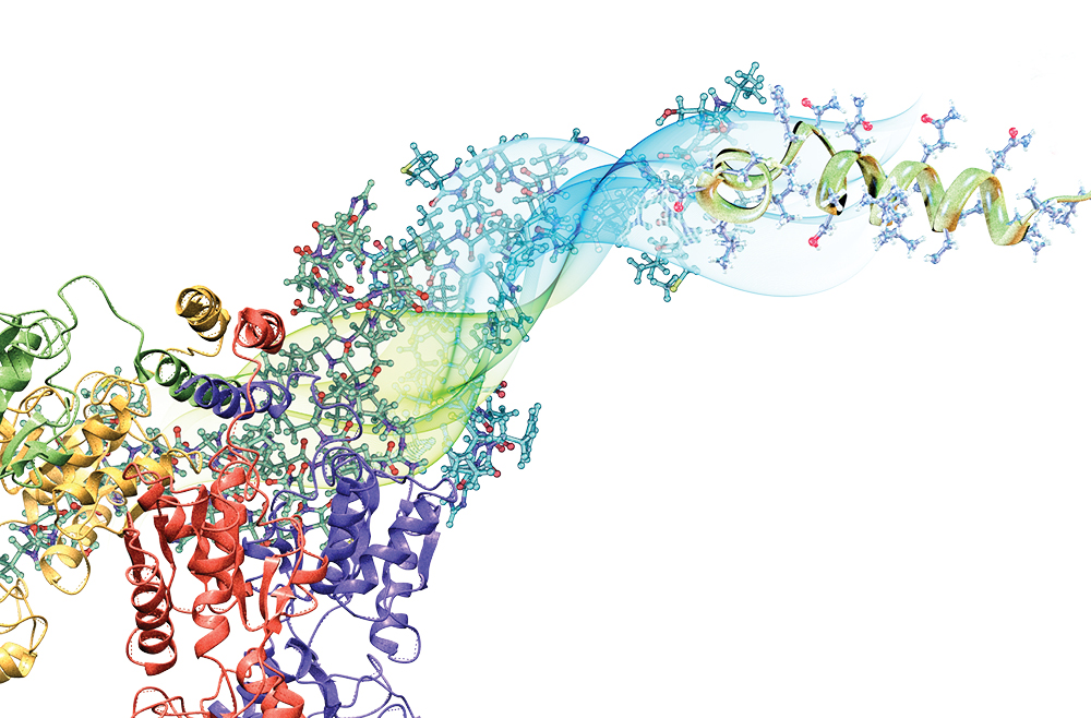 A colorful array of cancer signaling proteins against a white background